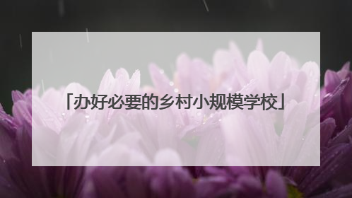 办好必要的乡村小规模学校